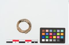Foto von Bleiring (NHMW-PRAE-024891)
